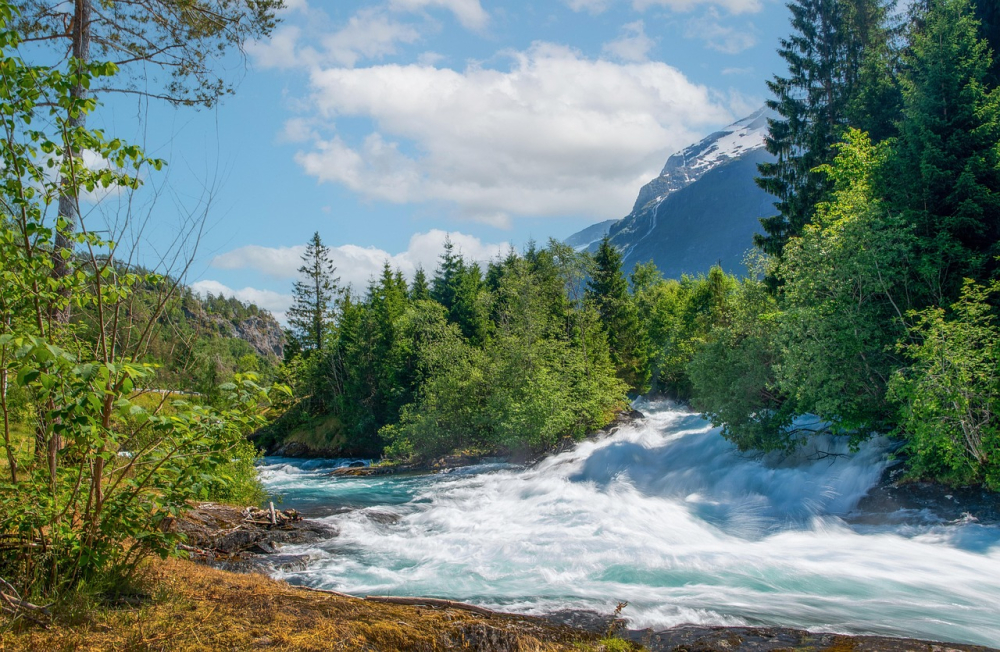 Wilder Fluss